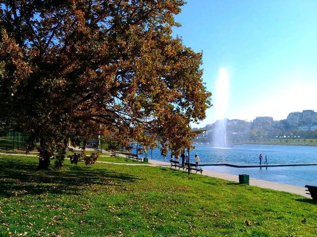 beg-ada-ciganlijacard-img