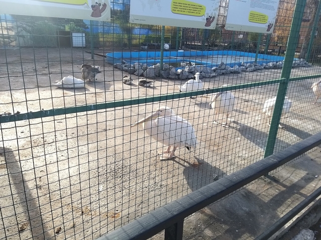 bax-barnaul-zoocard-img