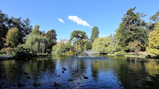 yyj-beacon-hill-parkcard-img