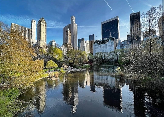 nyc-central-parkcard-img