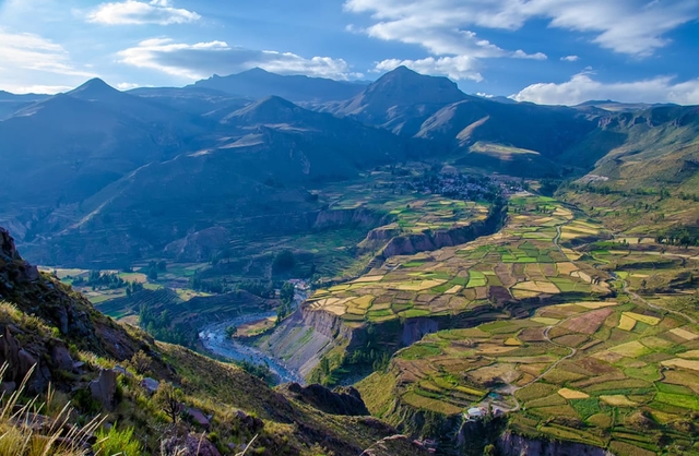 aqp-colca-canyoncard-img