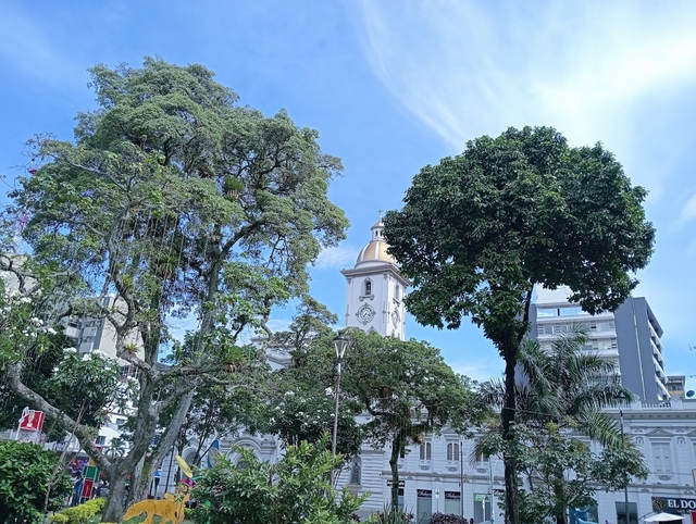 ibe-cathedral-of-ibaguecard-img