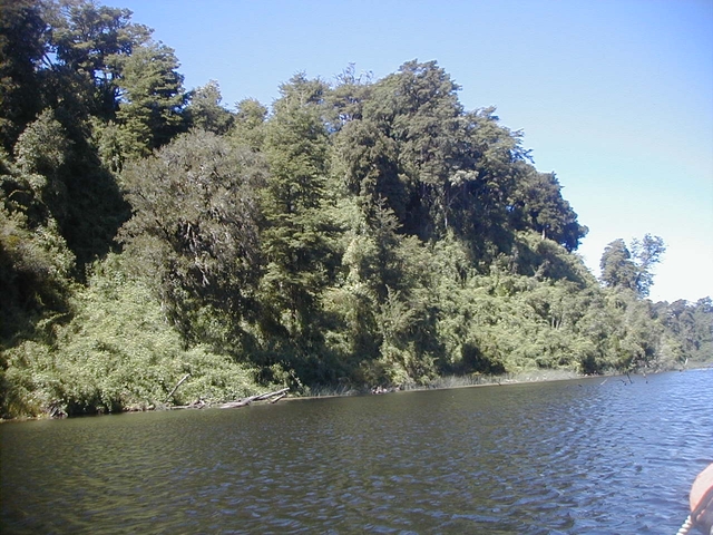 pmc-llanquihue-lakecard-img