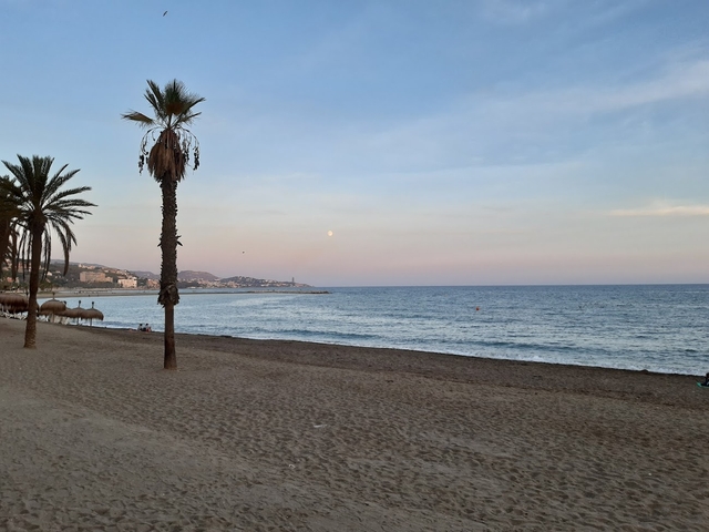 agp-malagueta-beachcard-img