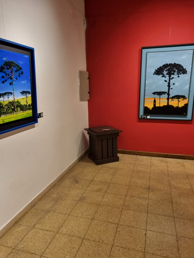 pss-museo-juan-yaparícard-img