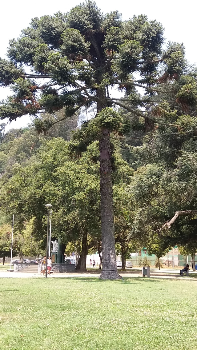 ccp-ecuador-parkcard-img