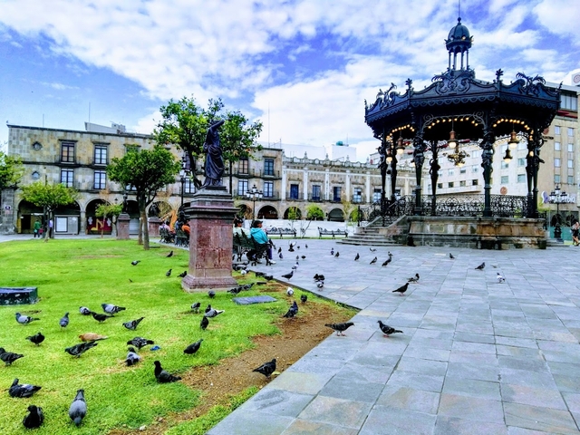gdl-plaza-de-armascard-img