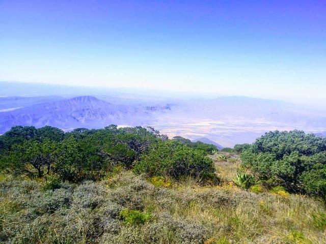trc-sierra-de-jimulcocard-img