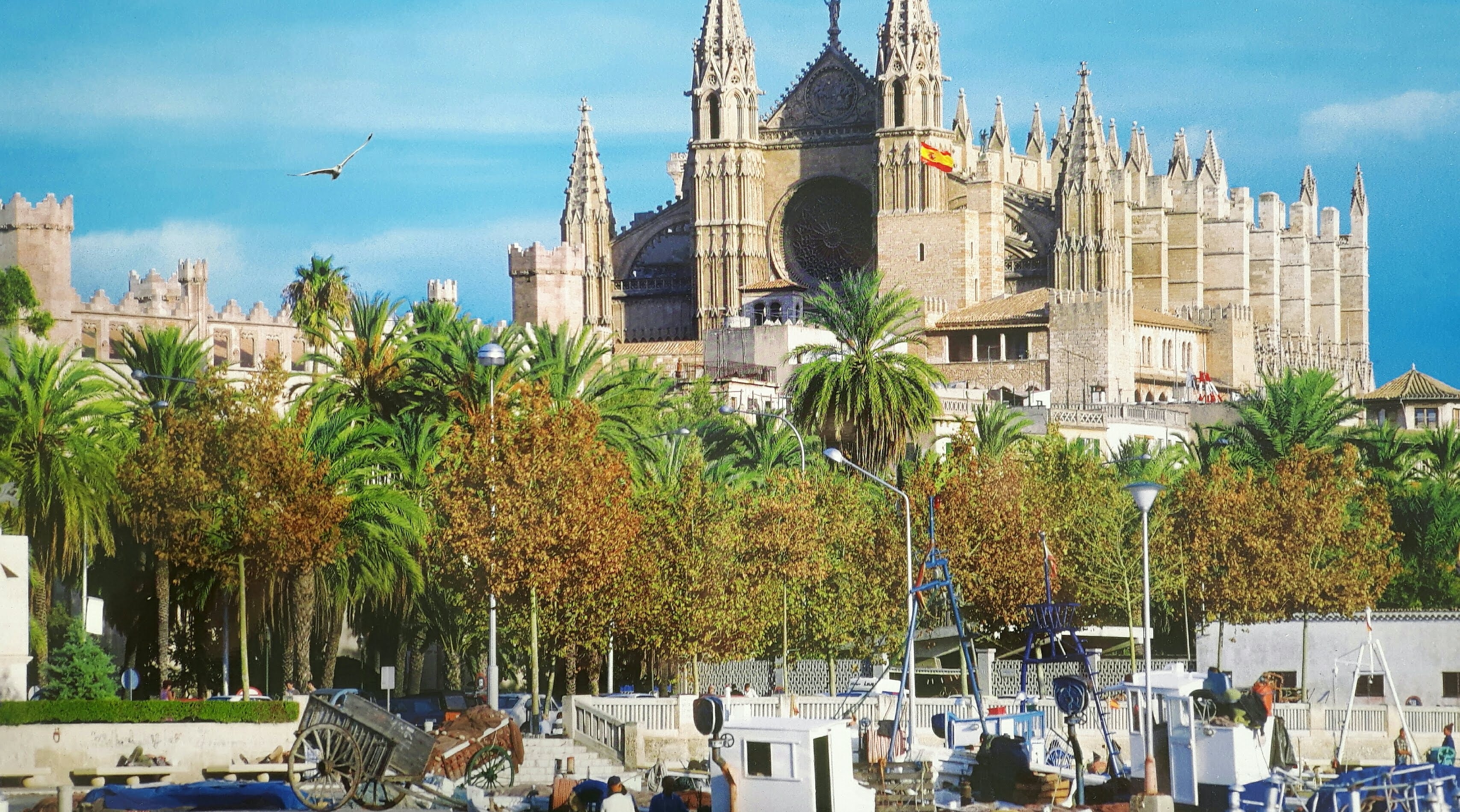 Madrid-Palma Mallorca-main-image