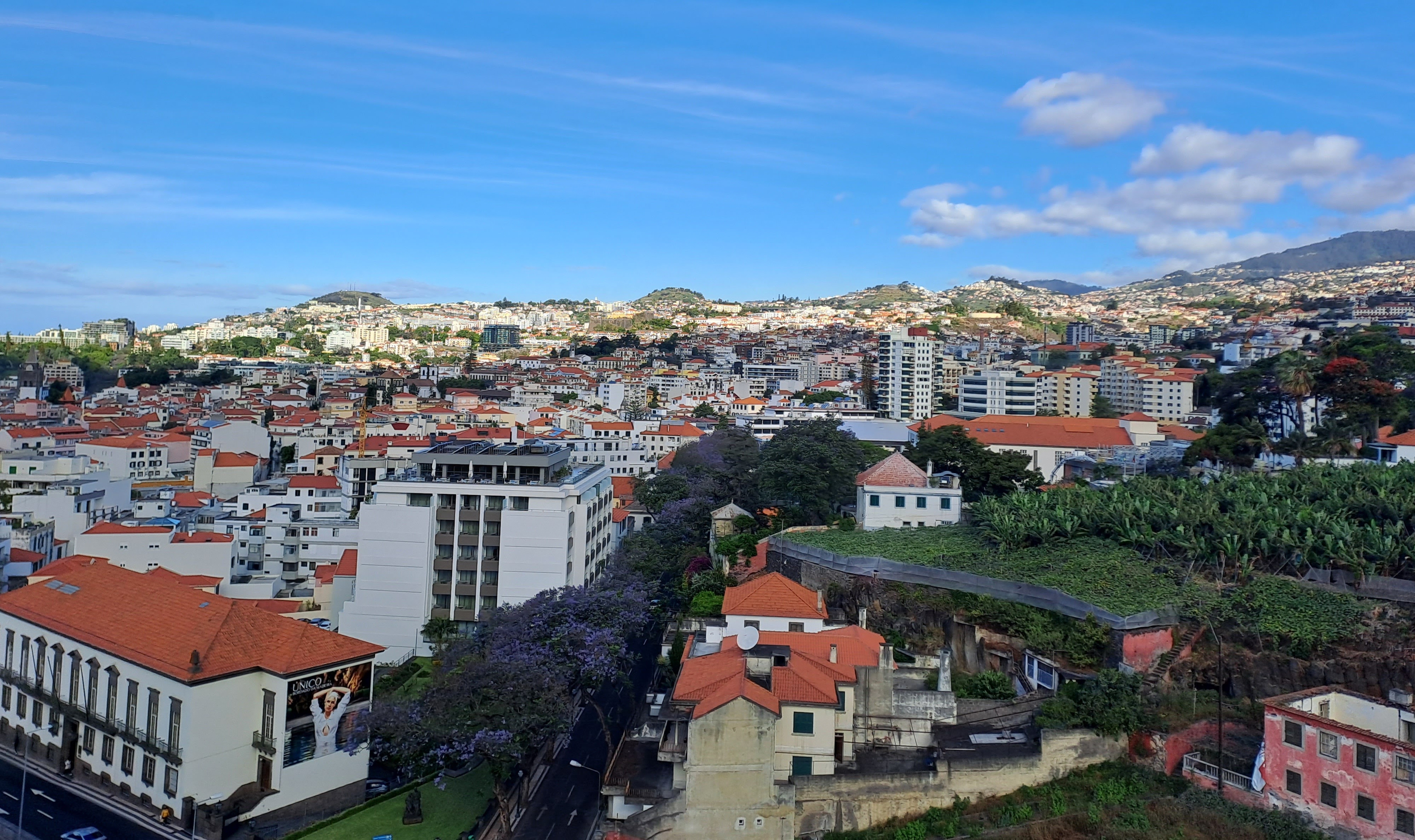 Calgary-Funchal-main-image