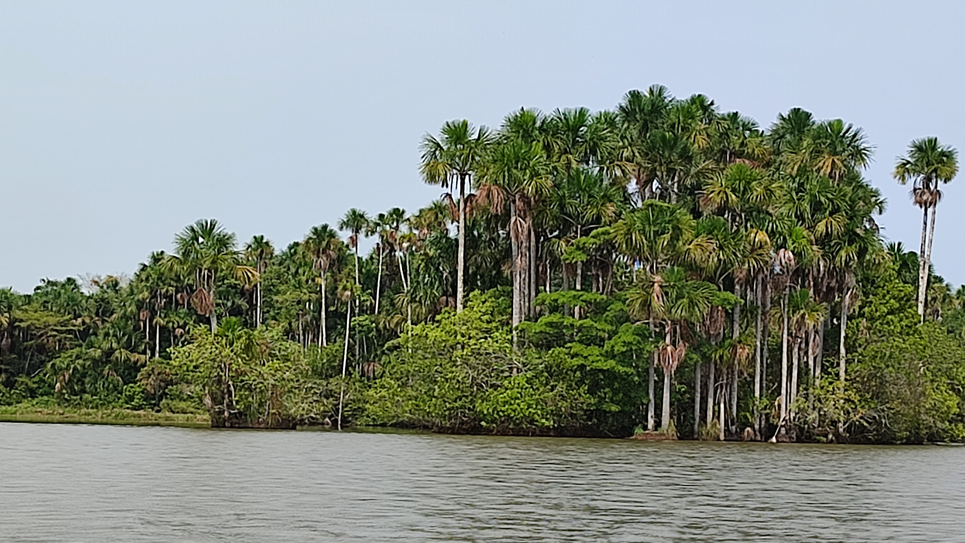 Lima-Puerto Maldonado-main-image