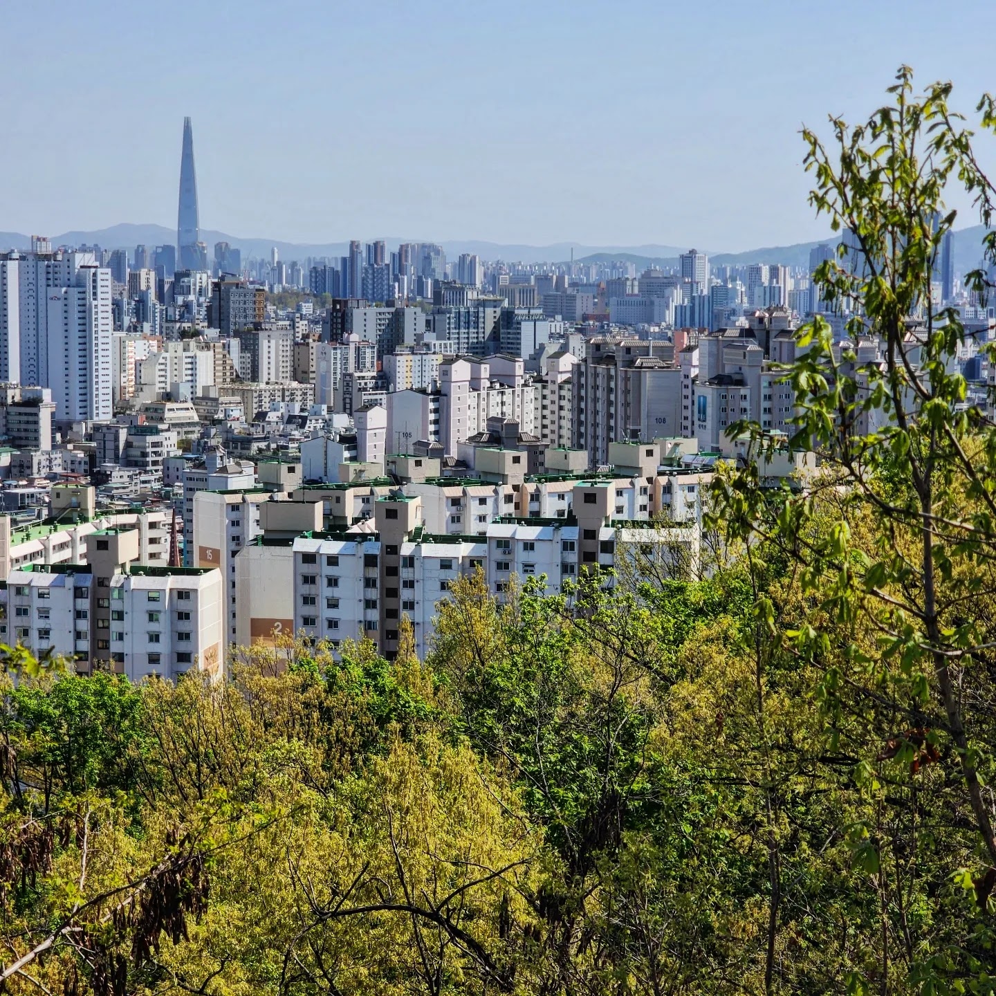 Austin-Seoul-main-image